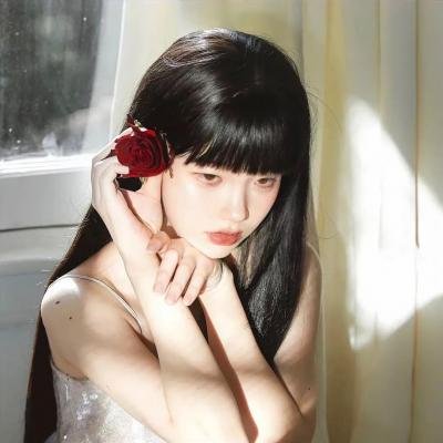 凤舞龙翔