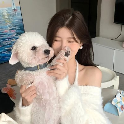 非屠龙童话